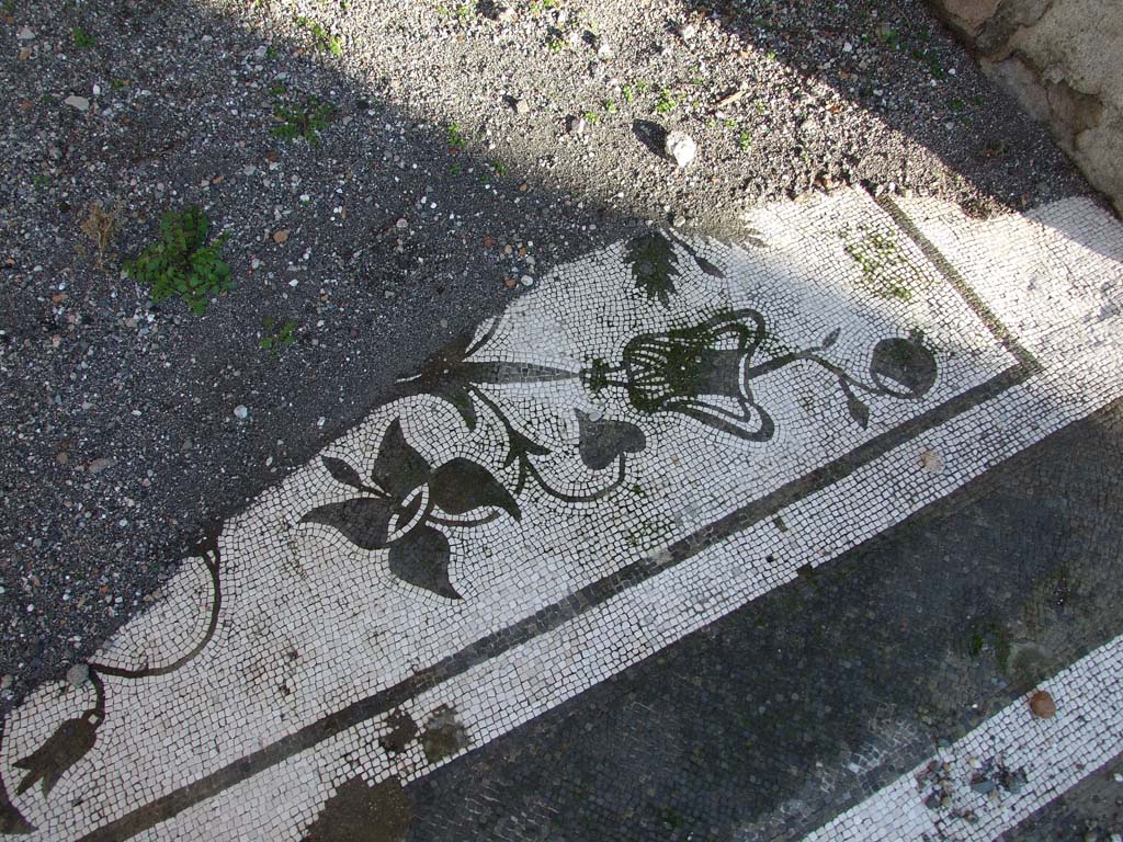 VII.16.13 Pompeii. December 2007. Vestibule 1, with entrance mosaic.