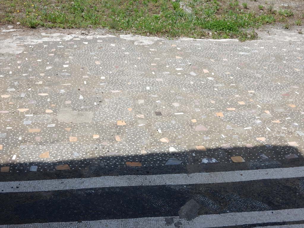 VII.16.13 Pompeii. June 2019. Room 2, looking west across atrium flooring from entrance doorway.
Photo courtesy of Buzz Ferebee.
