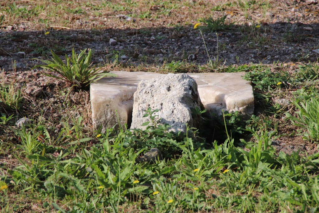 VII.16.13 Pompeii. October 2023.
Room 2, remains of marble cistern mouth at west end of impluvium. Photo courtesy of Klaus Heese.