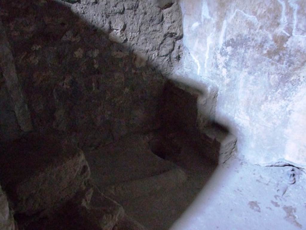 VII.16.17-22 Pompeii.  December 2007. Latrine.