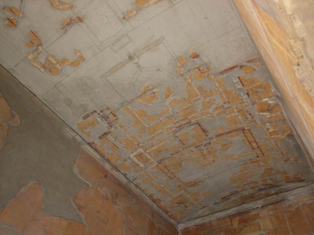VII.16.17-22 Pompeii. December 2007. Painted ceiling decorated in IV style.