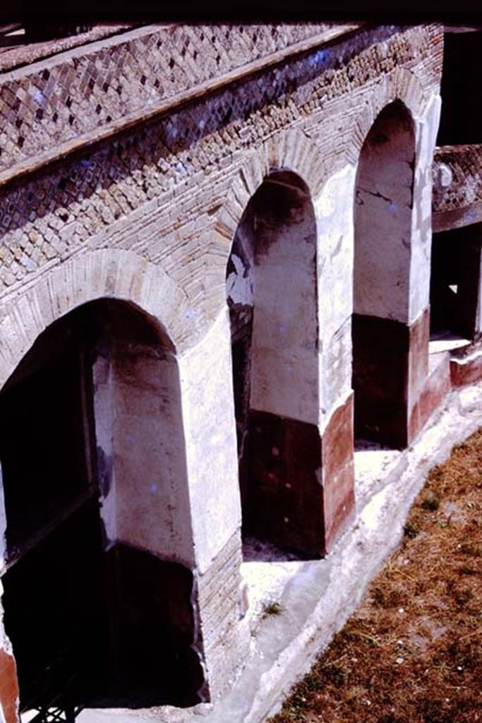 VII.16.17-22 Pompeii, 1980. Detail of exterior west wall. Photo by Stanley A. Jashemski.   
Source: The Wilhelmina and Stanley A. Jashemski archive in the University of Maryland Library, Special Collections (See collection page) and made available under the Creative Commons Attribution-Non Commercial License v.4. See Licence and use details. J80f0210
