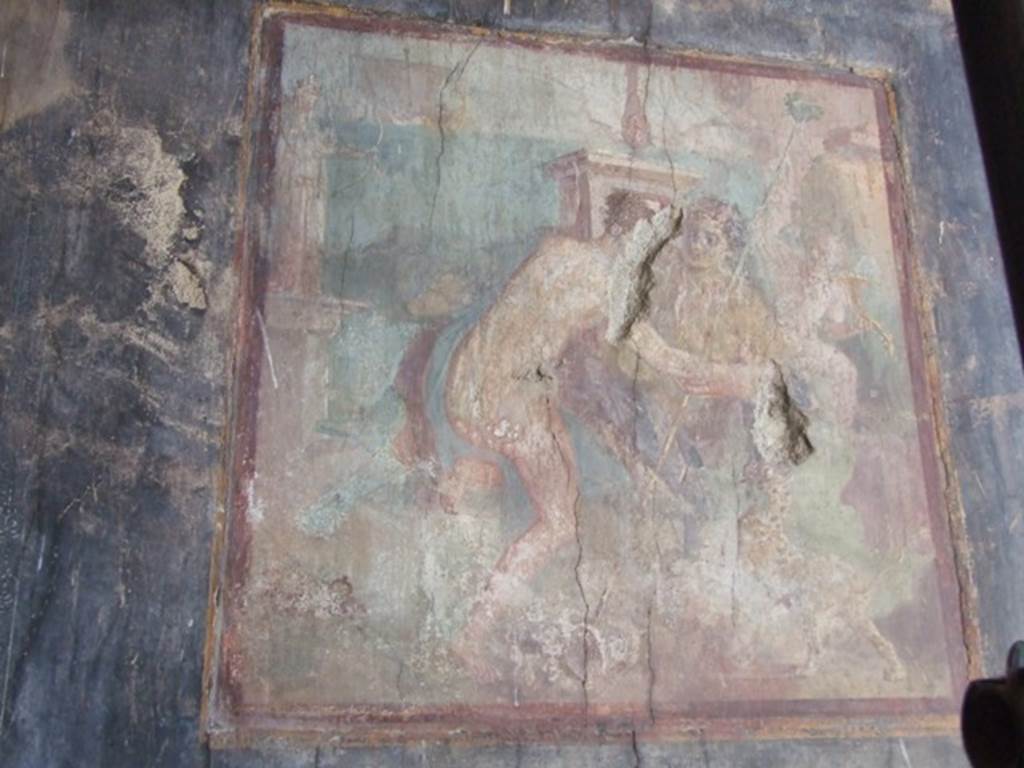 VII.16.17-22 Pompeii. December 2007. Wall painting of Dionysus and Ariadne from centre of south wall of oecus.
Kuivalainen describes –
“A composition of two main figures facing each other in a sacred area by the sea ……………..”
Kuivalainen comments –
“This scene is exceptional in many ways: for the couple’s and panther’s postures, and for the rich environment with a statue and vessels. A Bacchus of the half-naked type helps a confused Ariadne up, while Theseus’s ship is sailing away. The statue of Diana adorned with a crown has a bronze parallel in the sanctuary of Apollo in Pompeii. (Note 423 – see Van Andringa 2012, p.94-95.)
The horizontal line is very high.”
See Kuivalainen, I., 2021. The Portrayal of Pompeian Bacchus. Commentationes Humanarum Litterarum 140. Helsinki: Finnish Society of Sciences and Letters, p. 155-6, E19.