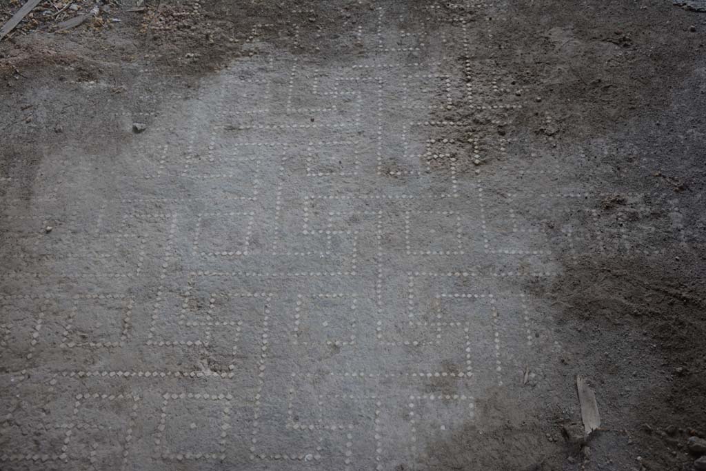 VII.16.17-22 Pompeii. October 2018. Peristyle 14, flooring.
Foto Annette Haug, ERC Grant 681269 DCOR.
