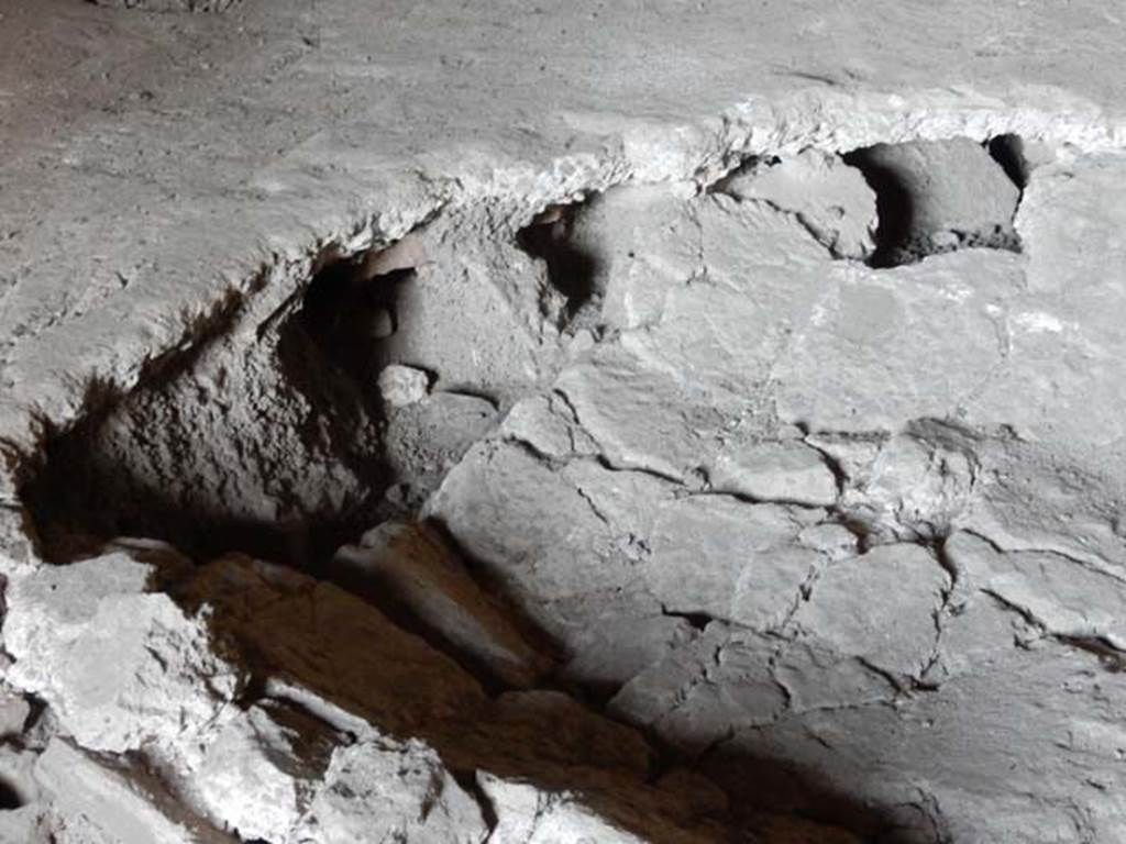 VII.16.a Pompeii. May 2015. Room 5, detail of damaged floor. Photo courtesy of Buzz Ferebee.