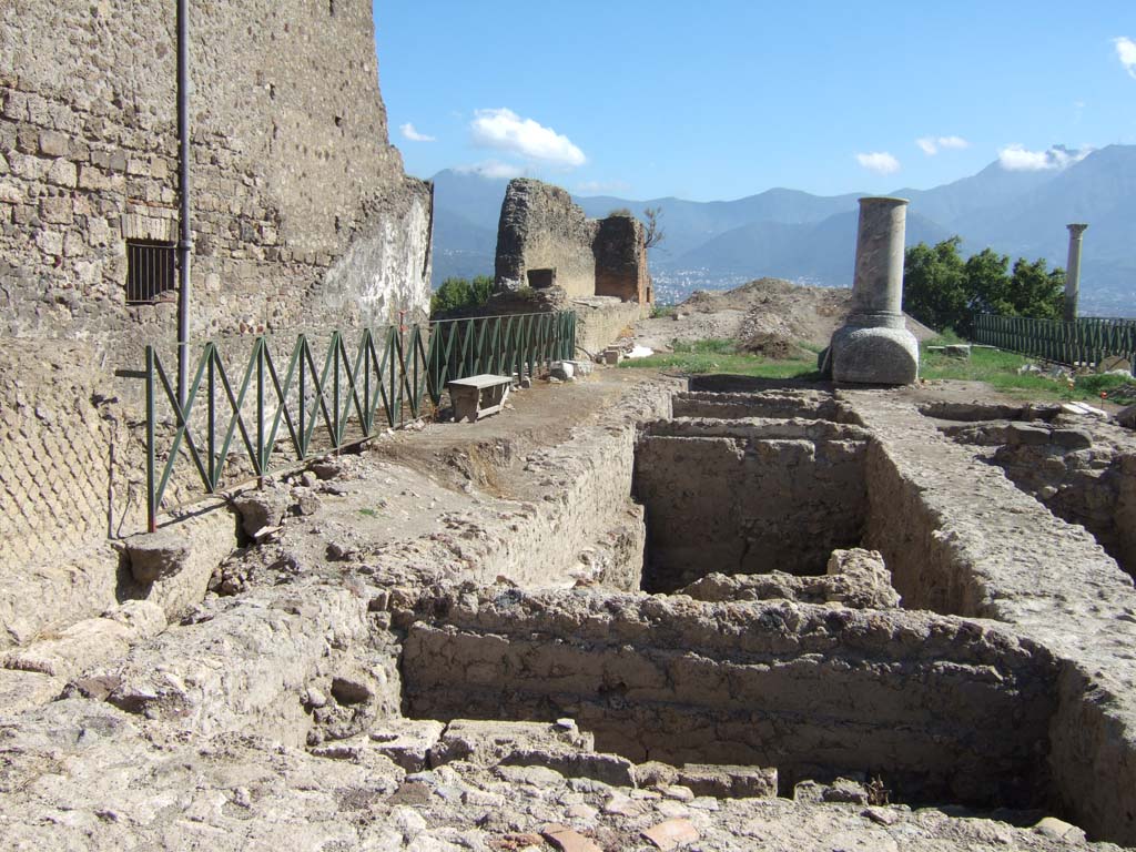 VIII.1.3 Pompeii. September 2005. Looking south from north-east corner. 
According to Carroll, the white “monument” at the south end was an unfinished column of limestone for a votive offering.
This was brought in and worked on after 62 AD.
See: Carroll, M. (2010): Exploring the sanctuary of Venus and its sacred grove: politics, cult and identity in Roman Pompeii.
In: Papers of the British School at Rome 78, (2010) pp.63-106.
