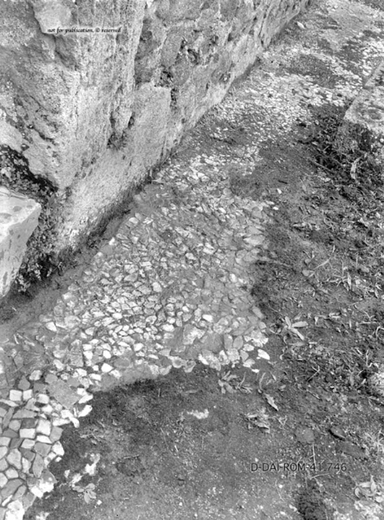 VIII.2.1 Pompeii. c.1930. Detail of pavement in front of house entrance doorway.
DAIR 41.746. Photo © Deutsches Archäologisches Institut, Abteilung Rom, Arkiv.
See Pernice, E.  1938. Pavimente und Figürliche Mosaiken: Die Hellenistische Kunst in Pompeji, Band VI. Berlin: de Gruyter, (tav. 44.2, above.)
