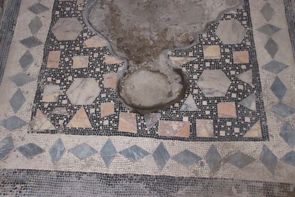 VIII.2.1 Pompeii. October 2020. Detail of entrance corridor mosaic. Photo courtesy of Klaus Heese.