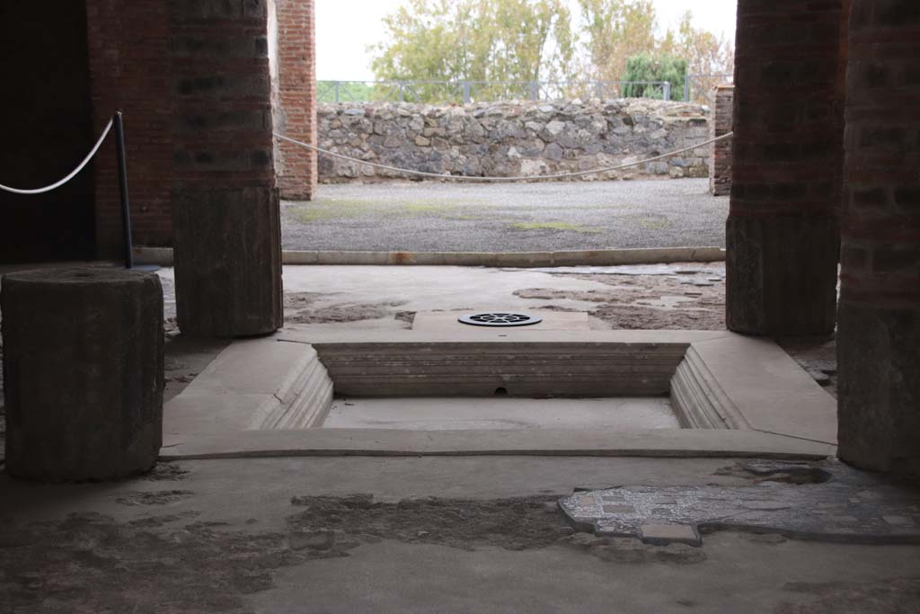 VIII.2.1 Pompeii. October 2020. Looking south across impluvium in atrium, after restoration. Photo courtesy of Klaus Heese. 