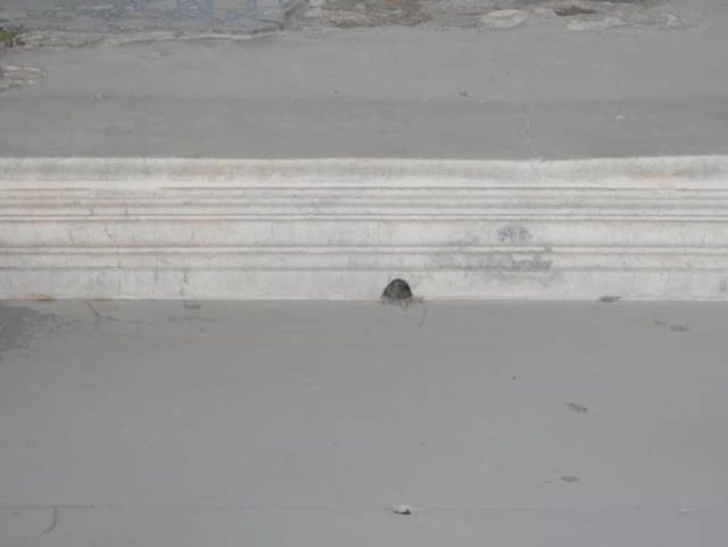 VIII.2.1 Pompeii. May 2018. Detail from north side of impluvium in atrium. Photo courtesy of Buzz Ferebee.