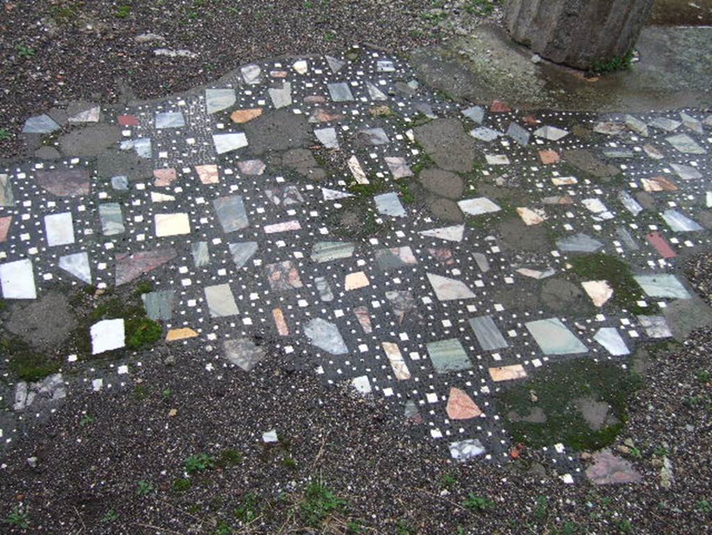 VIII.2.1 Pompeii. December 2005. Mosaic floor in atrium.