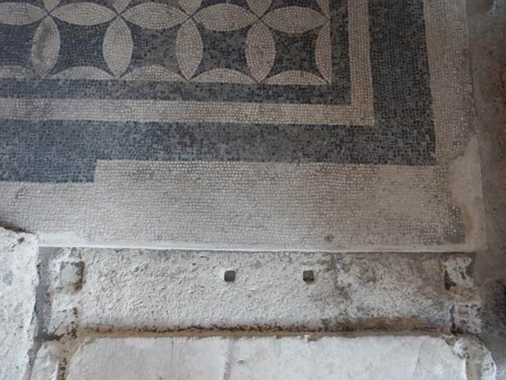 VIII.2.1 Pompeii. May 2018. Detail of flooring in doorway to triclinium. Photo courtesy of Buzz Ferebee.
