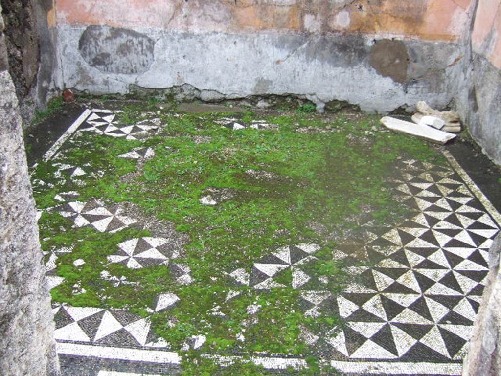 VIII.2.1 Pompeii. December 2005.
Mosaic floor in exedra or ala  on east side of atrium. Looking east.

