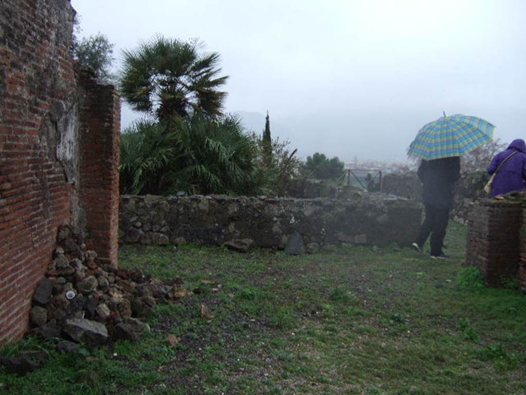 VIII.2.1 Pompeii. December 2005. Looking south across tablinum to peristyle.