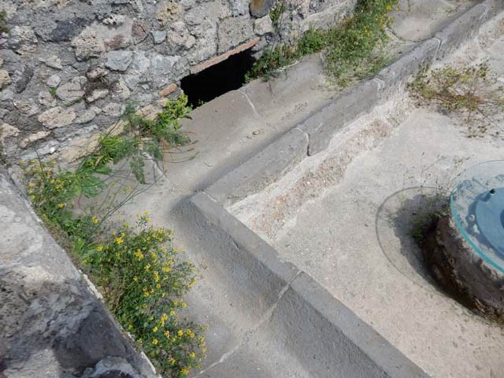VIII.2.1 Pompeii. May 2018. North-east corner of peristyle garden. Photo courtesy of Buzz Ferebee.