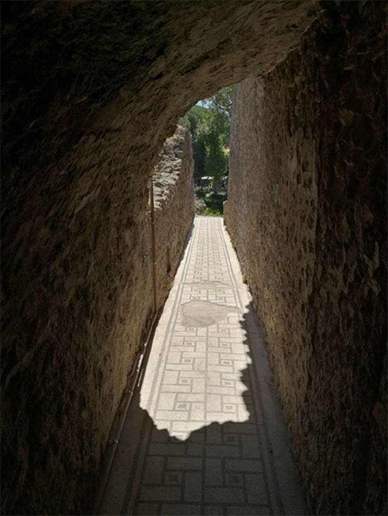 VIII.2.1 Pompeii. September 2017. Looking south along corridor on lower level after restoration. 
Photo courtesy of Parco Archeologico di Pompei.
