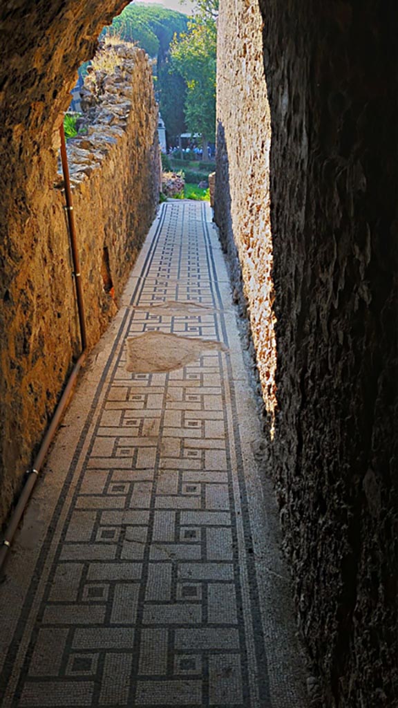 VIII.2.1 Pompeii. 2017/2018/2019.
Looking south along corridor 38 or (α), on lower level 1. Photo courtesy of Giuseppe Ciaramella.
