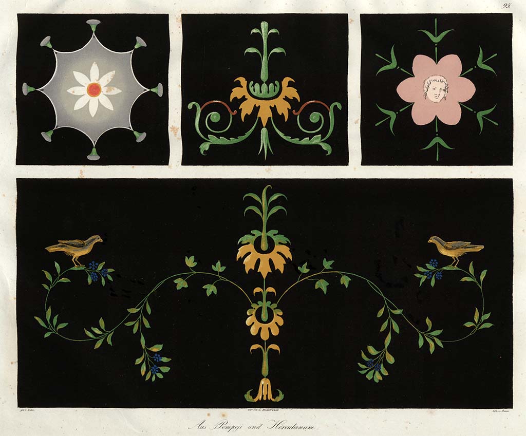 VIII.2.1/3. C.1828, drawings by Zahn in Naples Museum. 
Decorations, top line in the middle, described as from house next to Basilica. 
See Zahn, W., 1828-29. Die schönsten Ornamente und merkwürdigsten Gemälde aus Pompeji, Herkulanum und Stabiae: I. Berlin: Reimer, taf. 95.