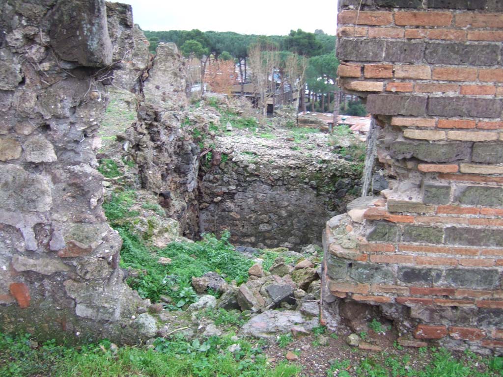 VIII.2.3 and VIII.2.16 Pompeii. December 2005.
Looking through doorway of collapsed side room in south-east side of peristyle/garden, with rooms below belonging to VIII.2.16 (?).
According to PPM – VIII.2.14-16 (p.74 and 75) – regarding rooms on lower levels -
“……and those (rooms) on the west side belonged in reality to the house at nos. 3-5.”
And -
“On the lower level, and reachable by stairs towards the west, were rooms 10-13, which had mosaic flooring and remains of paintings of mediocre quality.
The rooms (14-22), about 3m higher than the rooms 10-13, were probably reachable from the house at no. 3, even if built in the same building phase”.
See Carratelli, G. P., 1990-2003. Pompei: Pitture e Mosaici. VIII. (8). Roma: Istituto della enciclopedia italiana, (p. 74 and 75).