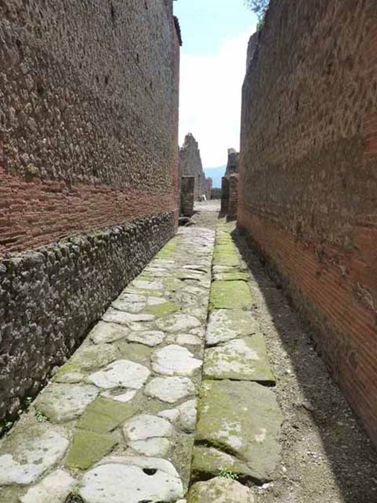 VIII.2.7 Pompeii. May 2010. Passageway to rear, looking south.
According to Liselotte Eschebach, the steps to an upper floor were on the left. See Eschebach, L., 1993. Gebäudeverzeichnis und Stadtplan der antiken Stadt Pompeji. Köln: Böhlau.(p.355)