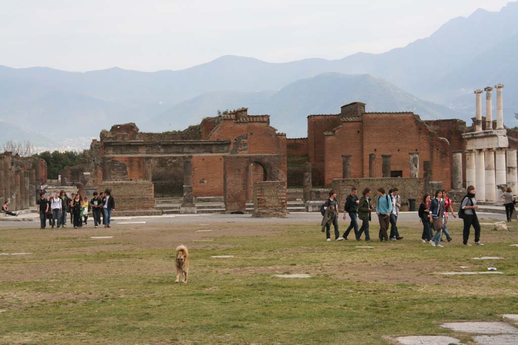VIII.2.8 Pompeii. April 2010. Looking towards south end of Forum, with entrance doorway (centre right) behind portico columns.
Photo courtesy of Klaus Heese.

