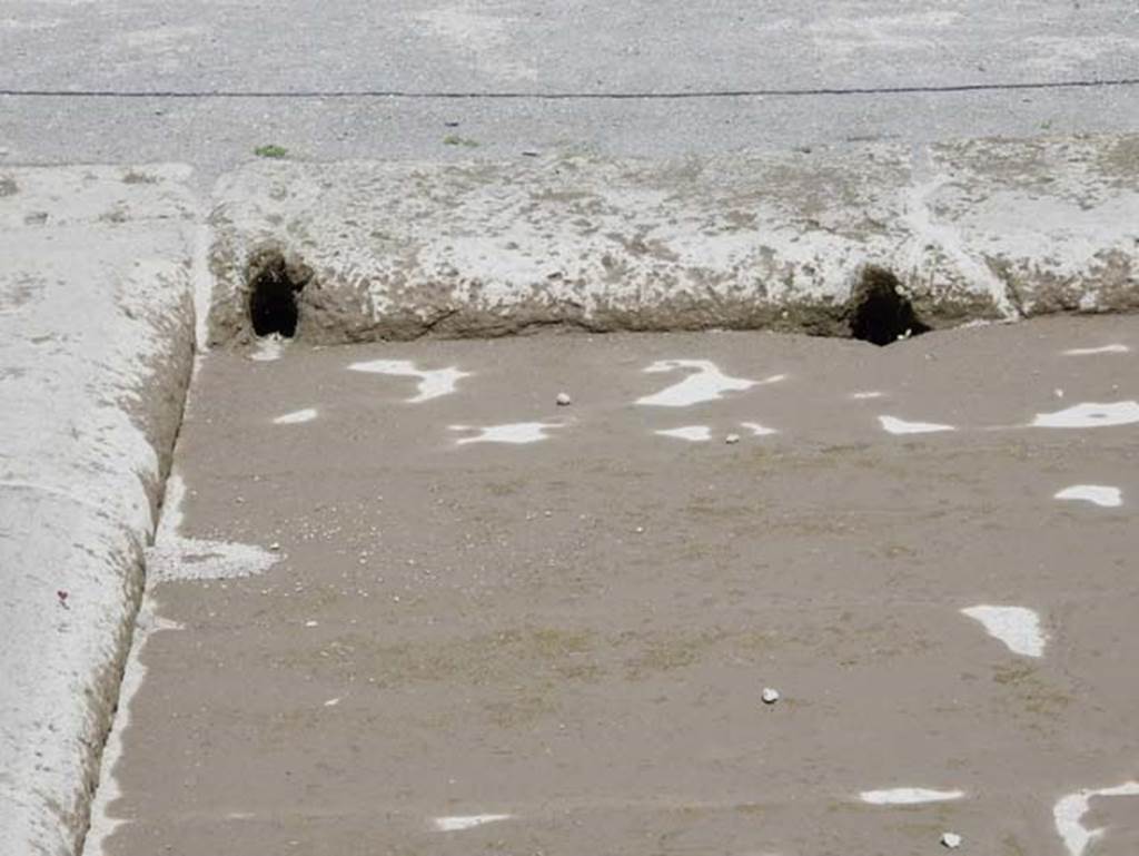 VIII.2.14 Pompeii. May 2018. Detail of impluvium in atrium. Photo courtesy of Buzz Ferebee