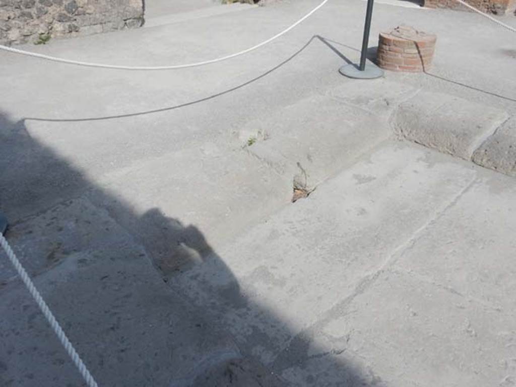 VIII.2.14 Pompeii. May 2017. Detail of impluvium in atrium. Photo courtesy of Buzz Ferebee.