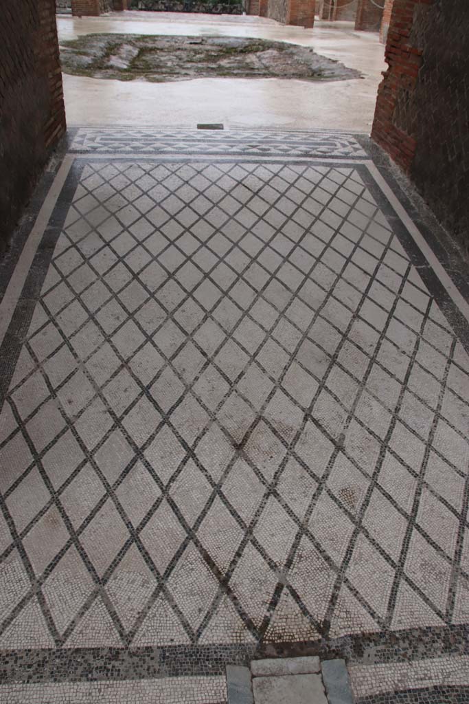 VIII.2.16 Pompeii. October 2020. Looking west across mosaic in entrance corridor.
Photo courtesy of Klaus Heese.