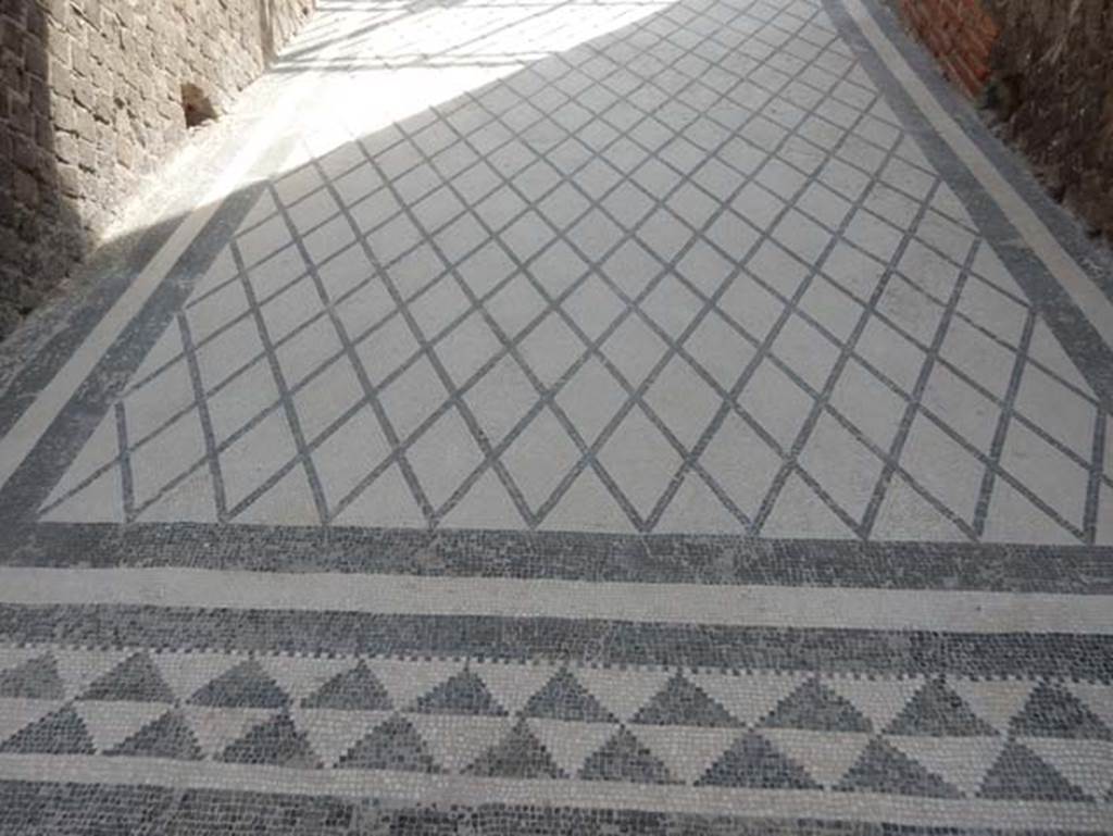 VIII.2.16 Pompeii. May 2017. Detail of mosaic flooring in entrance corridor.
Photo courtesy of Buzz Ferebee.