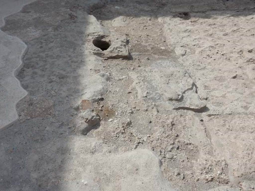VIII.2.16 Pompeii. May 2017. East end of site of impluvium. Photo courtesy of Buzz Ferebee.