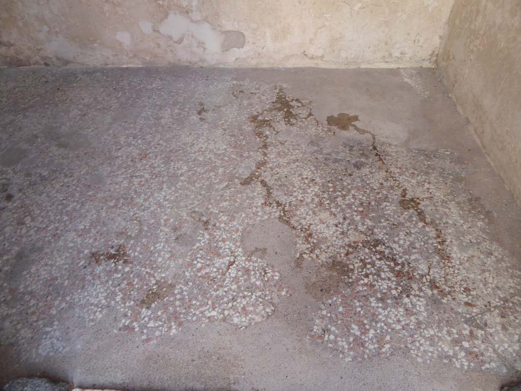VIII.2.16 Pompeii. January 2017. Looking south across flooring from doorway.
Foto Annette Haug, ERC Grant 681269 DÉCOR
