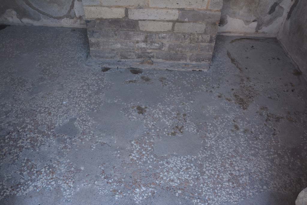VIII.2.16 Pompeii. September 2019. Detail of flooring in room with household shrine.
Foto Annette Haug, ERC Grant 681269 DÉCOR.

