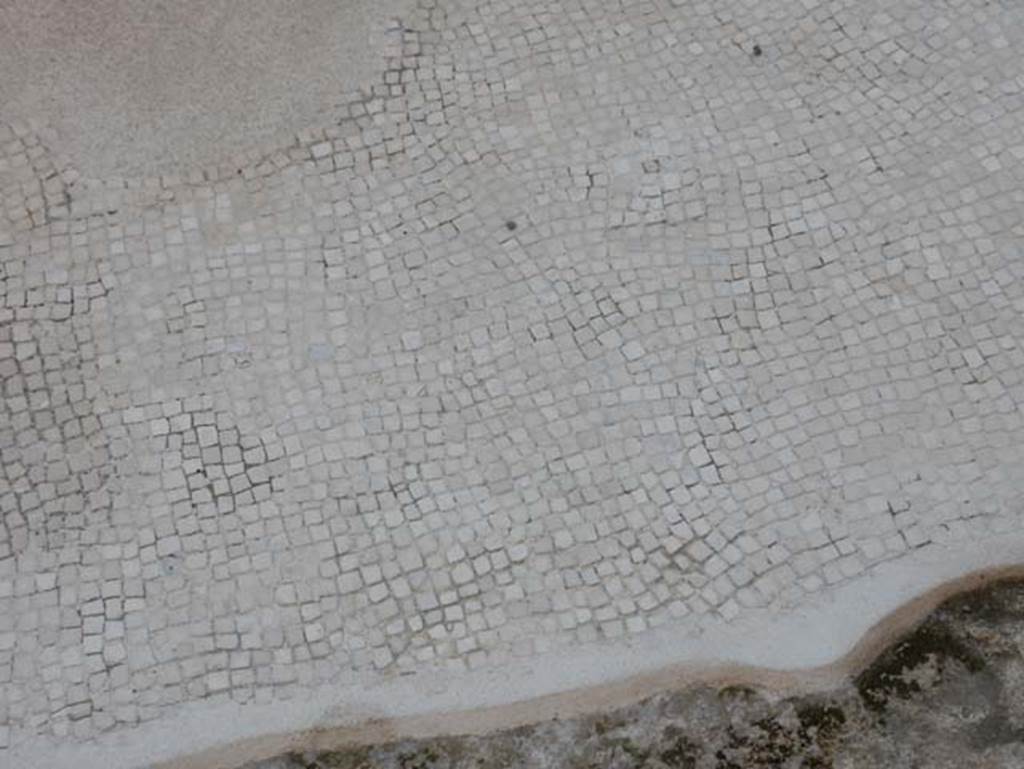 VIII.2.16 Pompeii. May 2018. White mosaic. Photo courtesy of Buzz Ferebee.