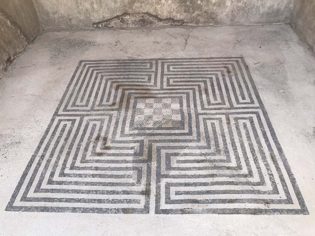 VIII.2.16 Pompeii. April 2019. Mosaic flooring in south ala. Photo courtesy of Rick Bauer.