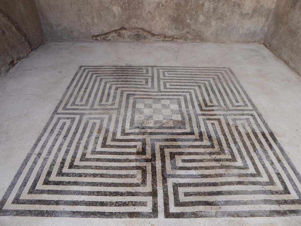VIII.2.16 Pompeii. January 2017. Mosaic flooring from south ala.
Foto Annette Haug, ERC Grant 681269 DÉCOR
