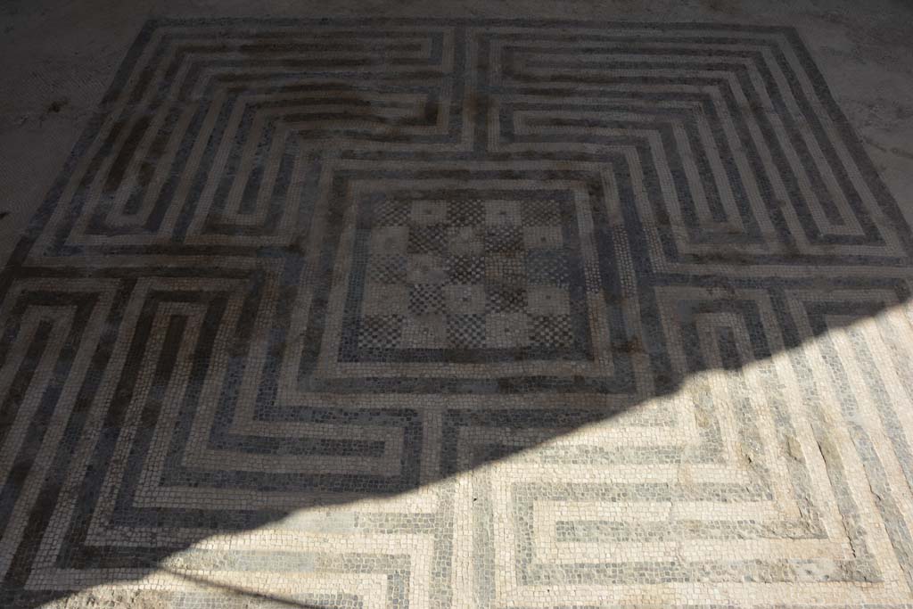 VIII.2.16 Pompeii. September 2019. Detail of flooring in north ala.
Foto Annette Haug, ERC Grant 681269 DÉCOR.
