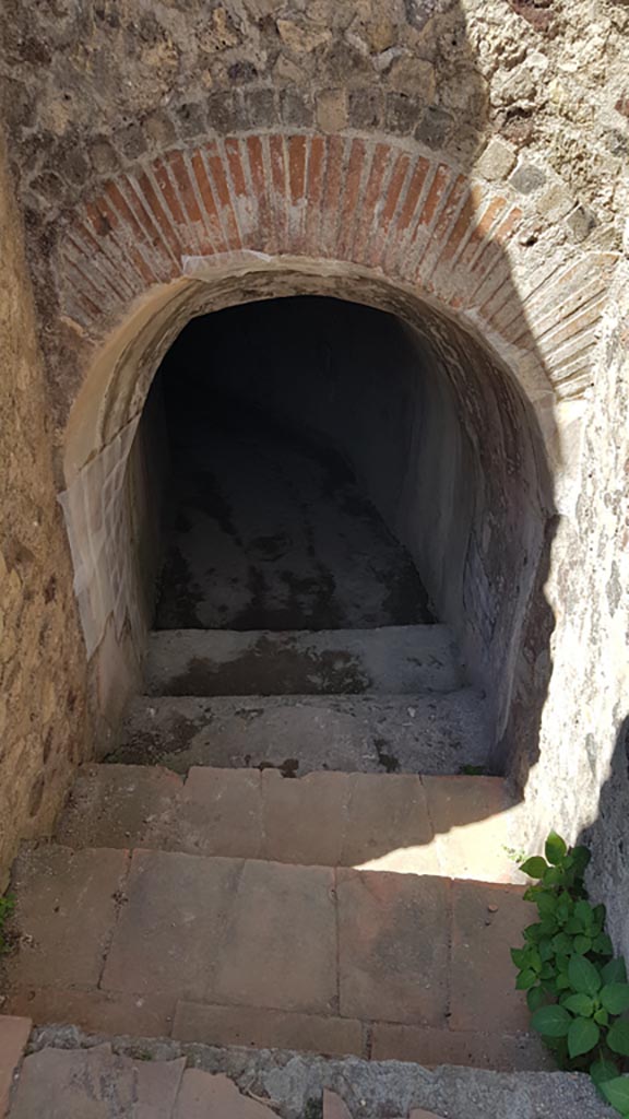 VIII.2.17 Pompeii. August 2023.
Steps down to tunnel leading below to Sarno Baths. Photo courtesy of Maribel Velasco.