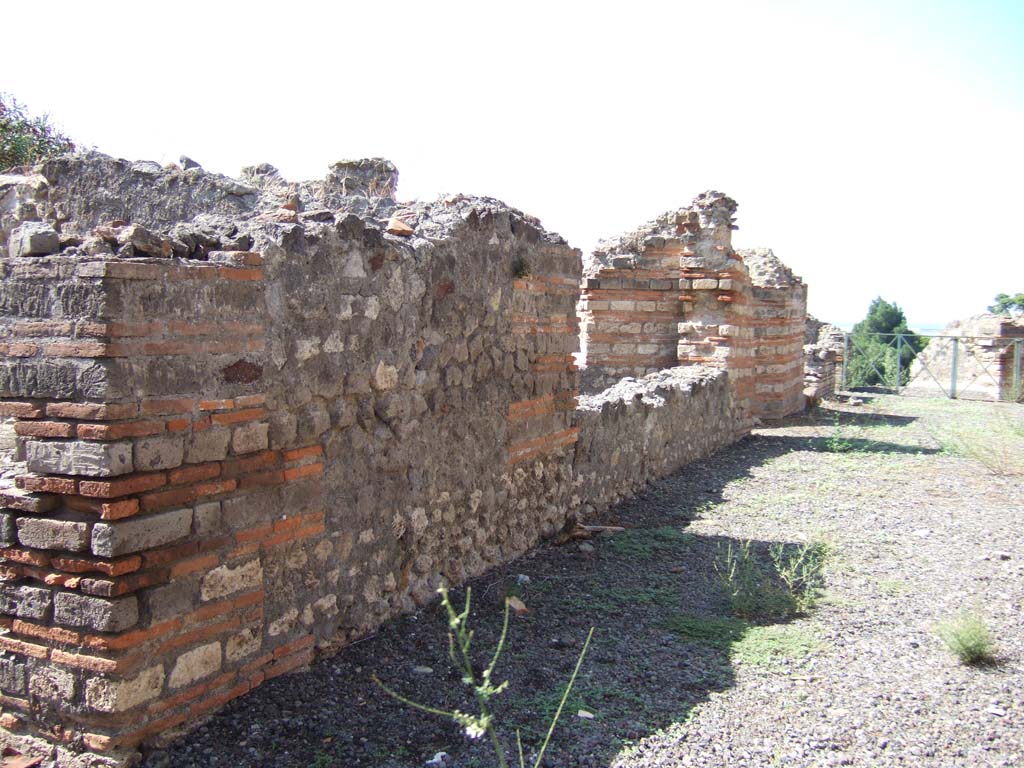 VIII.2.20 Pompeii. September 2005. Looking west along corridor
According to Jashemski, this was the wall of the triangular light-well.
It had two large windows which gave light to the corridor which led from the street at entrance 20.
This corridor, which turned to the left, was lit by another window before it reached the peristyle.
The light-yard had a tufa gutter around the edges with a drain towards the east, apparently to the cistern,
The opening of the cistern could be seen in the kitchen on its east side.
See Jashemski, W. F., 1993. The Gardens of Pompeii, Volume II: Appendices. New York: Caratzas. (p.207)