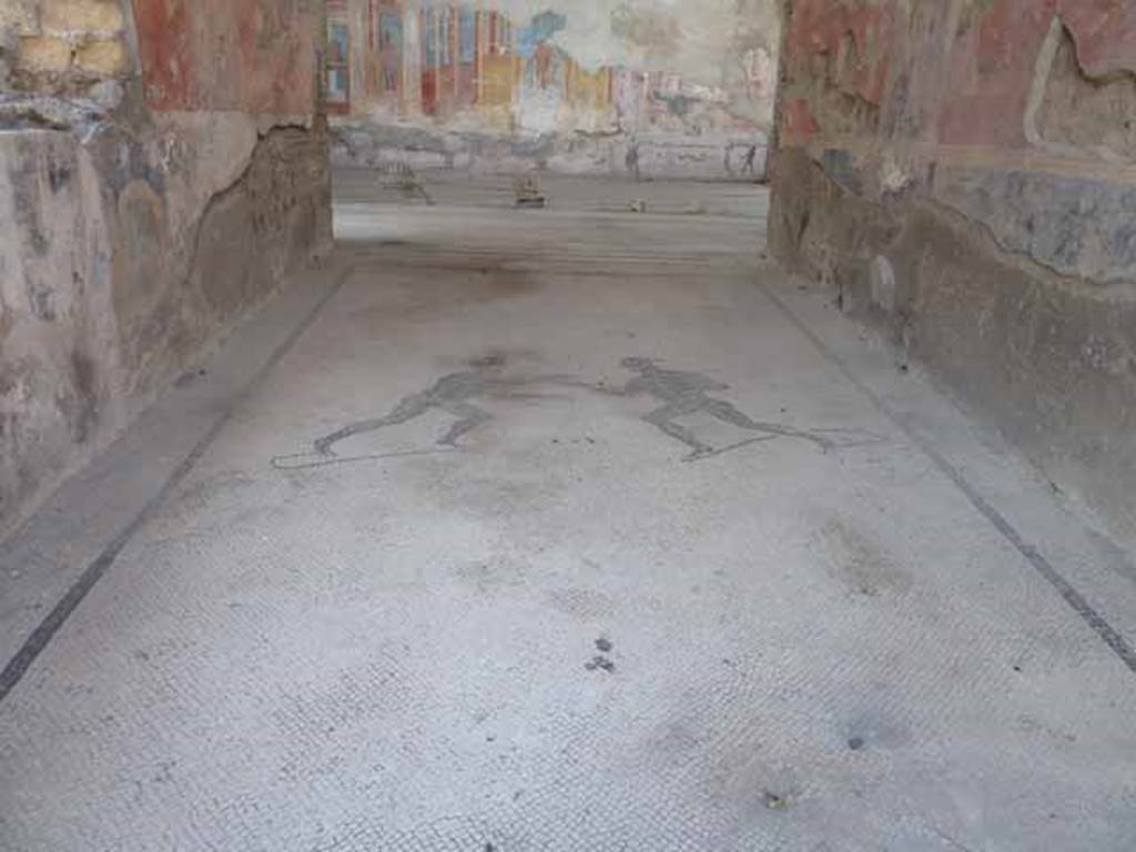 VIII.2.23 Pompeii. October 2020. Looking south across mosaic floor in entrance corridor. Photo courtesy of Klaus Heese.