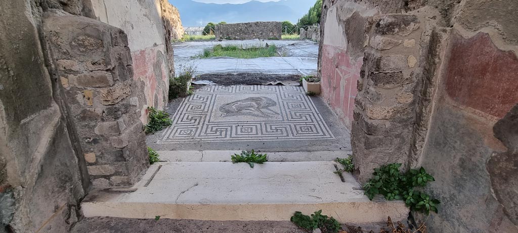 VIII.2.26 Pompeii. December 2023. 
Looking south from entrance vestibule “a”, across vestibule “b”, towards atrium. Photo courtesy of Miriam Colomer.
