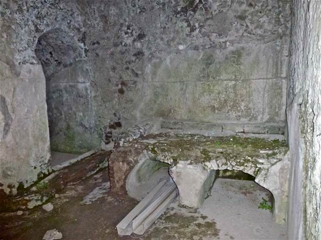 VIII.2.26 Pompeii. September 2011. Room 2, kitchen on lower level. Looking towards the north wall plastered with a high white zoccolo (dado) and the kitchen bench with arches below. On the west side of the kitchen, under the stairs, were two small rooms, a latrine and a wash-room, in front of which was a channel for a drain.
.