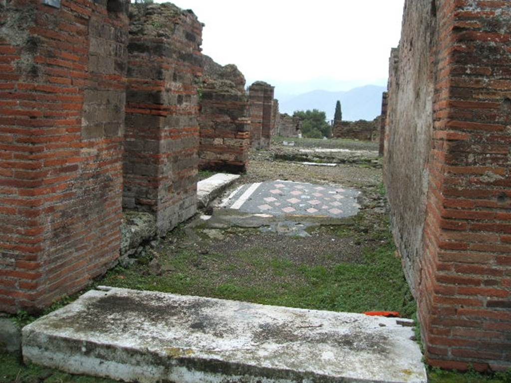 VIII.2.29 Pompeii. December 2005. Looking south from entrance doorway.