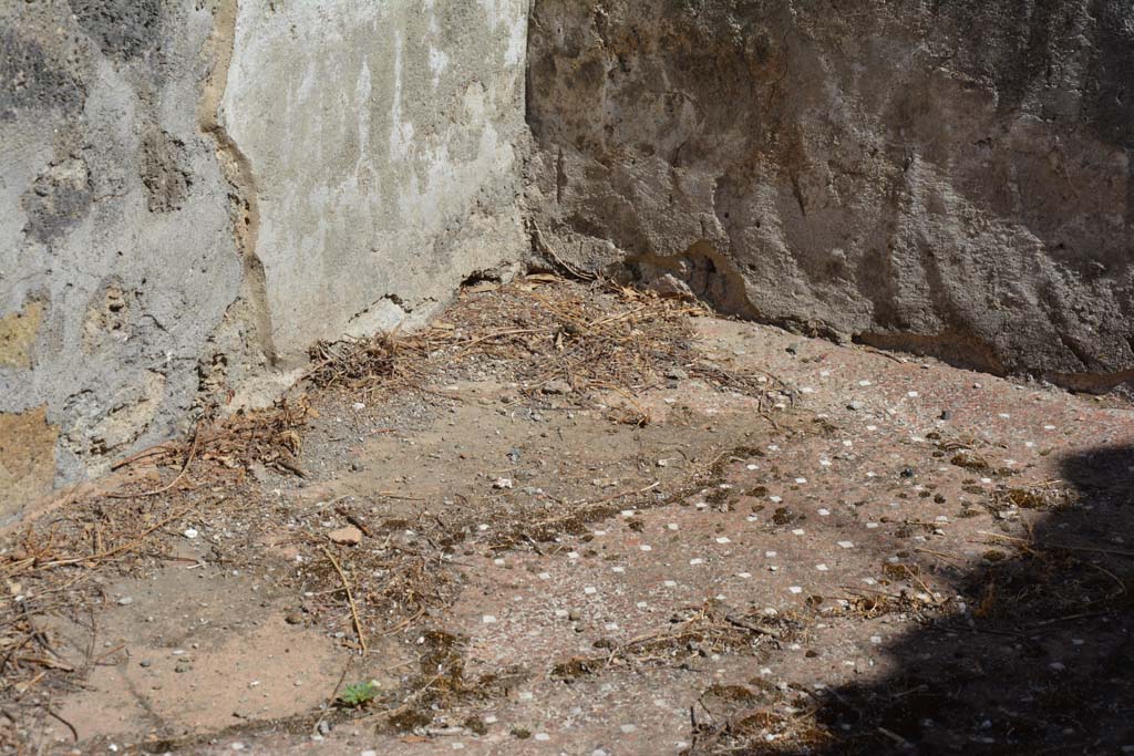 VIII.2.34 Pompeii. September 2019. Cubiculum ‘e’, detail from north-east corner.
Foto Annette Haug, ERC Grant 681269 DÉCOR
