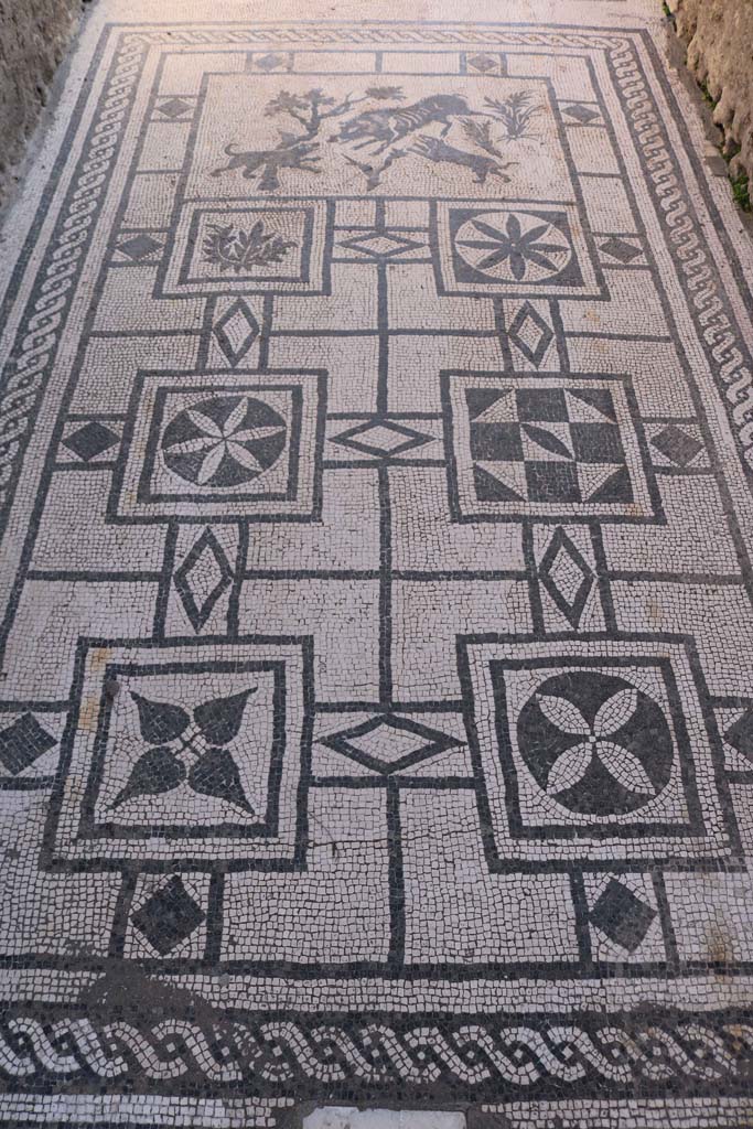 VIII.3.8, Pompeii., December 2018.
Looking south from entrance doorway along mosaic in corridor/fauces. Photo courtesy of Aude Durand.

