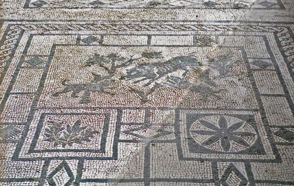 VIII.3.8 Pompeii. October 2001. Wild boar mosaic in entrance corridor. Photo courtesy of Peter Woods.
