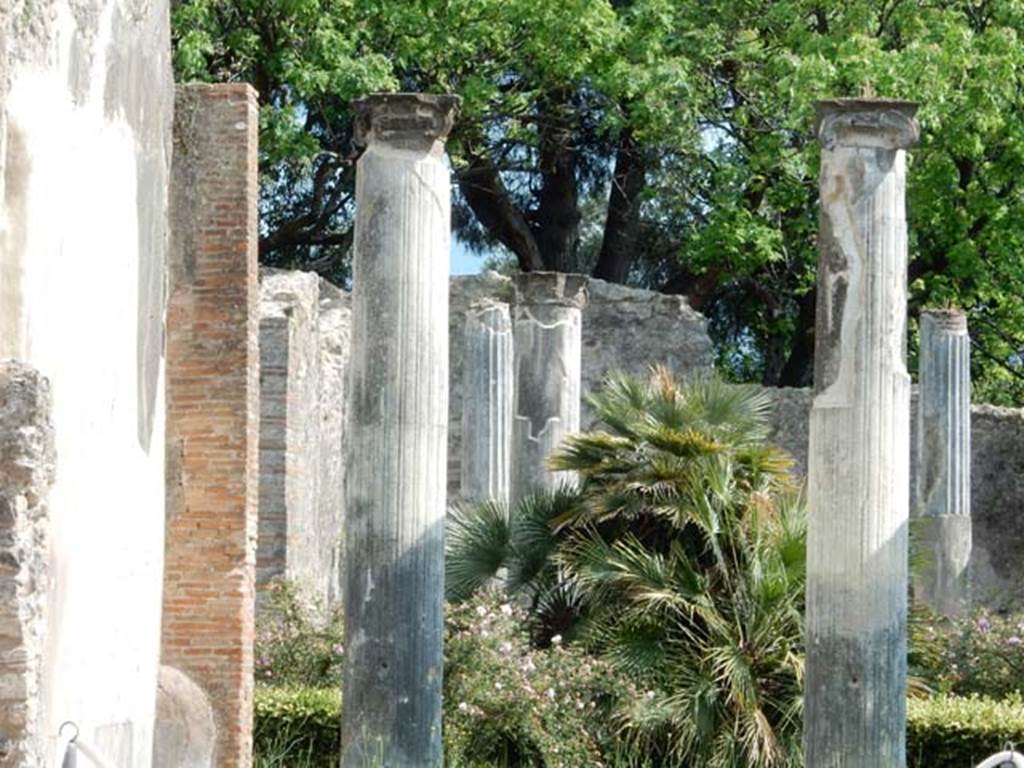 VIII.3.8 Pompeii. May 2016. Looking south from tablinum into the peristyle, with the east wall of the tablinum, on left.  Photo courtesy of Buzz Ferebee.

