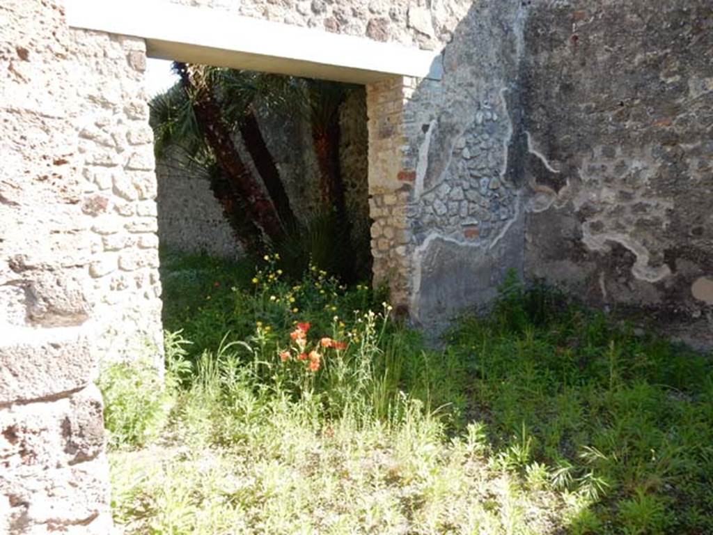 VIII.3.14 Pompeii. May 2016. Looking towards doorway in north wall of oecus fenestratum, leading to garden area. Photo courtesy of Buzz Ferebee.