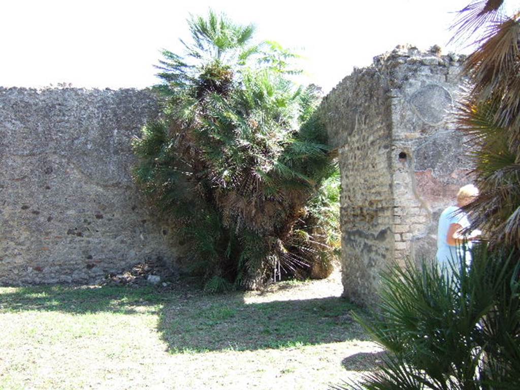 VIII.3.14 Pompeii. September 2005. East side of garden area. On the right, the rear (north end) of the oecus fenestratum can be seen, together with the east wall of the atrium.