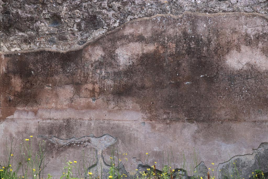 VIII.3.24 Pompeii. May 2024. Detail of remaining plaster from east wall of tablinum. Photo courtesy of Klaus Heese.