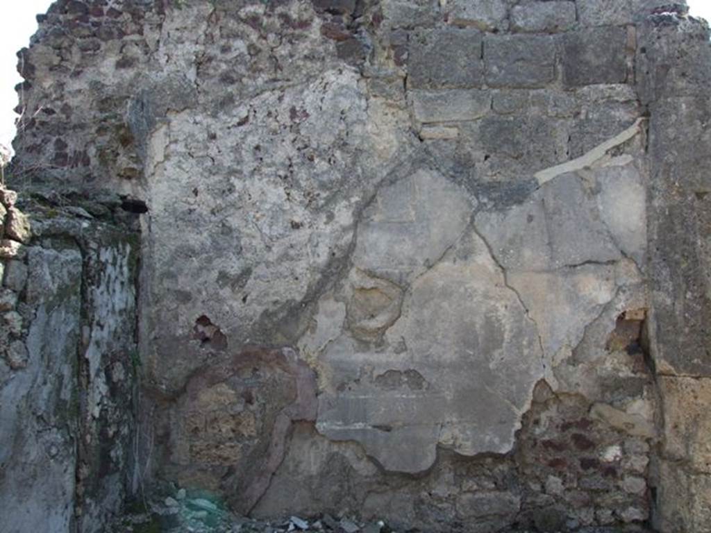 VIII.4.15 Pompeii. March 2009. Room 12, south wall of triclinium.